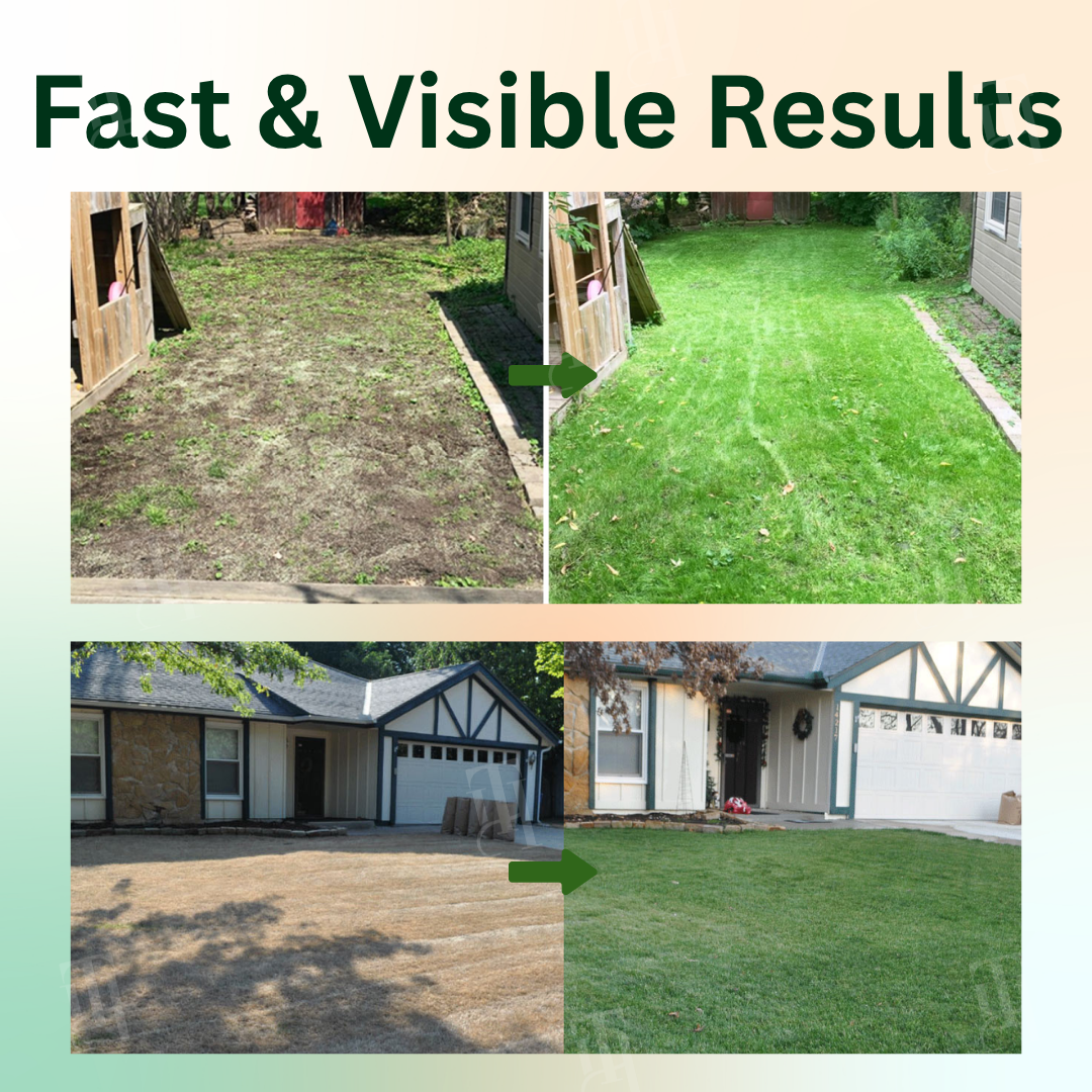 Ampherb® 2 in 1 Max Power Herbicide (𝟟𝟘% 𝕆𝔽𝔽 𝗘𝗡𝗗𝗦 𝗜𝗡 𝟭𝟬 𝗠𝗜𝗡𝗨𝗧𝗘𝗦)